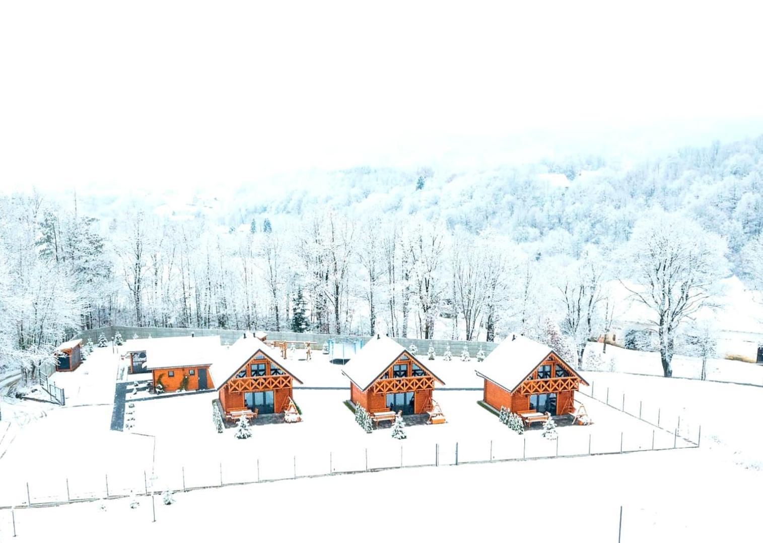Sloneczne Domki Sudety - Domki Caloroczne Kotlina Klodzka Stary Waliszow Esterno foto