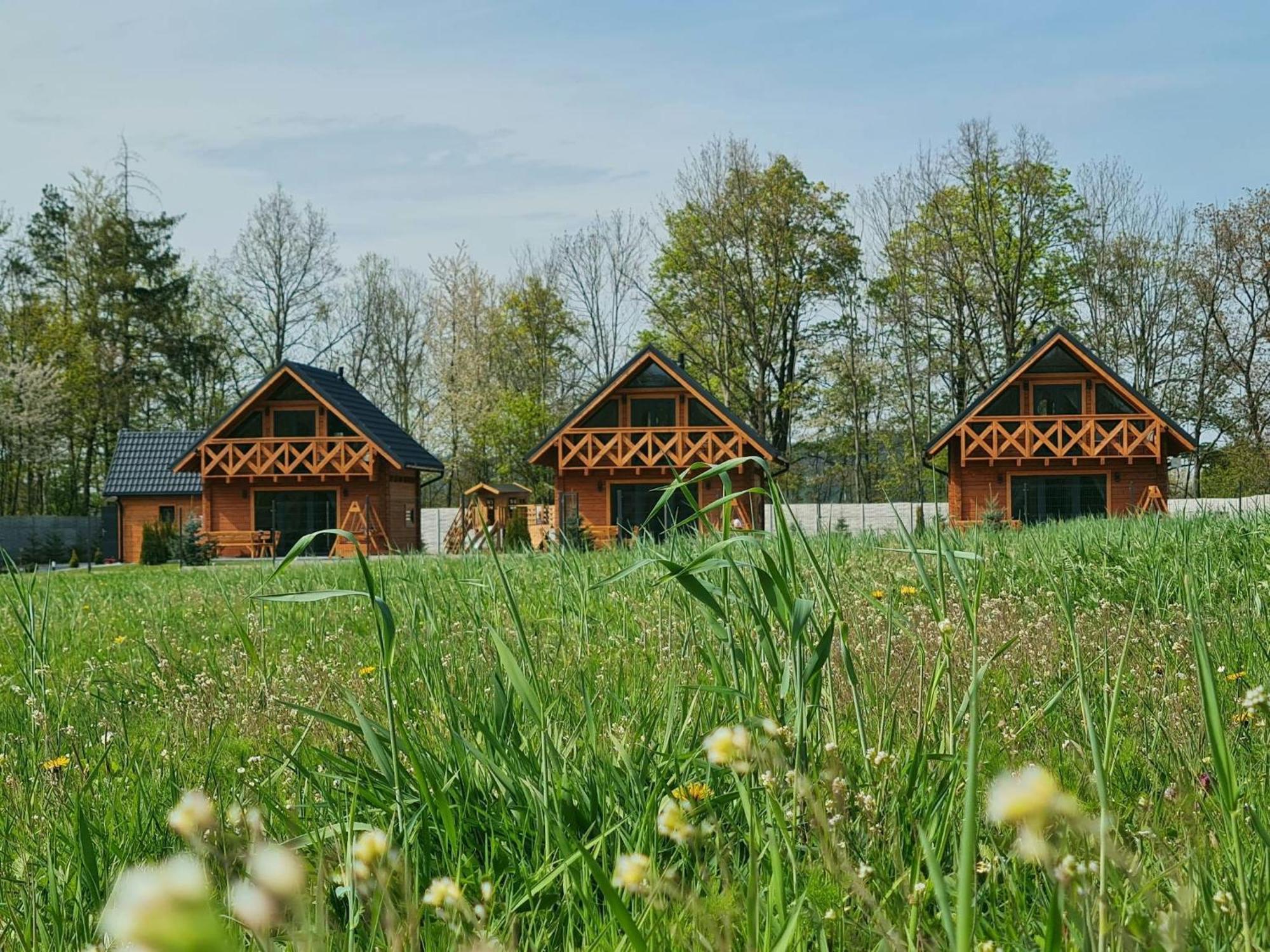Sloneczne Domki Sudety - Domki Caloroczne Kotlina Klodzka Stary Waliszow Esterno foto