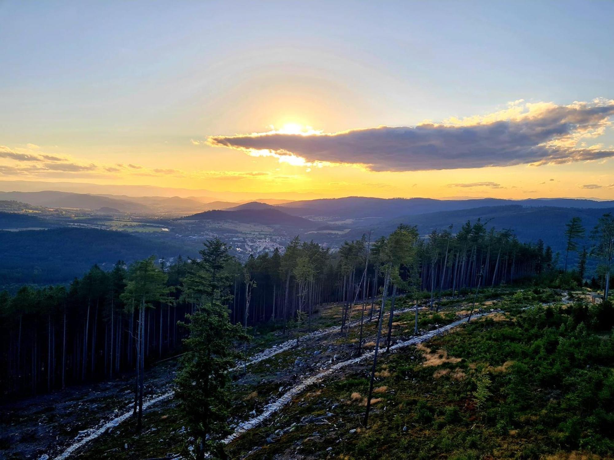 Sloneczne Domki Sudety - Domki Caloroczne Kotlina Klodzka Stary Waliszow Camera foto