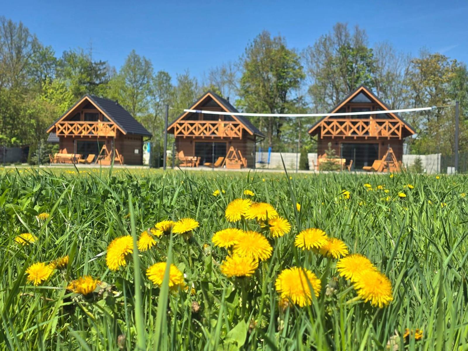 Sloneczne Domki Sudety - Domki Caloroczne Kotlina Klodzka Stary Waliszow Esterno foto
